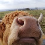 Peter Elkington - @peter.elkington - Instagram