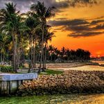 Peter Elmore - @peter_.elmore - Instagram