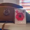peterelmore815 - @peterelmore815 - TikTok