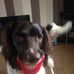 Peter Emmett - Facebook