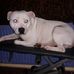 Peter Emmett - Facebook