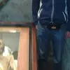 Peter Engler482 - @peterengler2 - TikTok