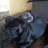 peterengler445 - @peterengler445 - TikTok