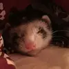 u - @peter-engler - TikTok