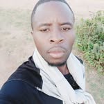Peter Enos - @peterenos8 - Instagram