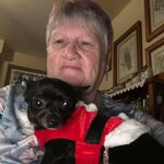 Teresa Enright Peterson - @petersonteresaenright - Instagram