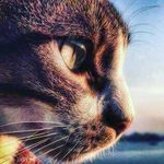 Peter España - @peter_ever20 - Instagram