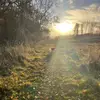 peterfastesson - @peterfastesson - TikTok
