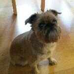 peter evers - @otto54_ - Instagram