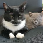 Peter Evers - @peterevers1 - Instagram