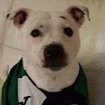 Peter Everson - @pceverson - Instagram