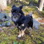 Peter Evertsson - @peter.evertsson.92 - Instagram
