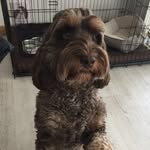 Peter Ewen - @peteewen - Instagram