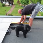 Peter Ewen - @p.g.ewen - Instagram