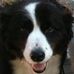 Peter Ewen - Facebook