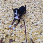Wolff-Peter Exner - @woopi089 - Instagram