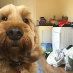 Peter Fagg - @peterfagg5562 - Instagram