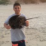 Peter_Falsetti23 - @peter_falsetti23 - Instagram
