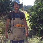 Peter Falla - @pete_the_orange_farmer - Instagram