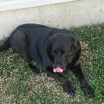 Peter Fanizzi - @fin_easy - Instagram