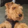 peterfanti - @peterfanti - TikTok