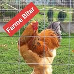 Farme Bitar - Facebook