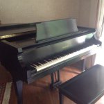 Peter Faria - @musiciseverything94 - Instagram