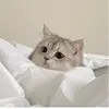 Peter Farris - @peterfarris_6288 - TikTok