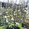Peter Featherbee - @peter.featherbee - TikTok