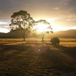 Peter Featherstone - @peter.featherstone1 - Instagram