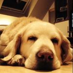 Peter Fecht - @peter_fecht - Instagram