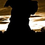 Peter Feist - @dreist84 - Instagram