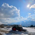 Peter Felder - @peter__felder - Instagram