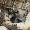 Peter Felder - @peter.felder - TikTok