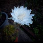 Peter Feldman Jim - @peterfeldmanjim - Instagram