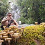 Peter Felipe Batista - @pfbpeter - Instagram