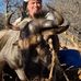 Rolf Peter Fenner - Facebook