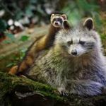 Peter Ferry - @peterferry6 - Instagram