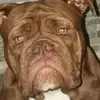 peterfill919 - @peterfill919 - TikTok