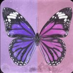 Peter Fillmore - @fillmore7403 - Instagram