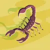 Peter flach - @peter.flach7 - TikTok