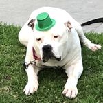 Peter Flack - @peter.flack.69.77 - Instagram