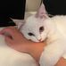 Peter Fleming - Facebook