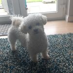Peter fleming - @peter_fleming156 - Instagram
