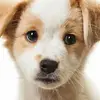 peterflorek395 - @peterflorek395 - TikTok