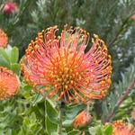 Peter Flower - @peterflower2023 - Instagram