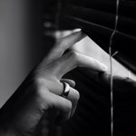 Peter Fogel  - @fogelpeter - Instagram