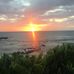 Peter Force - Facebook