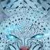 Peter Force - Facebook