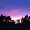Peter Frederiksen - @peterfrederiksen8 - TikTok
